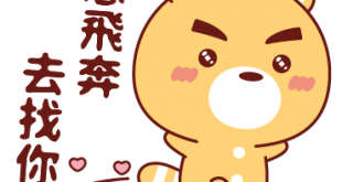 感情只要認定一個人後